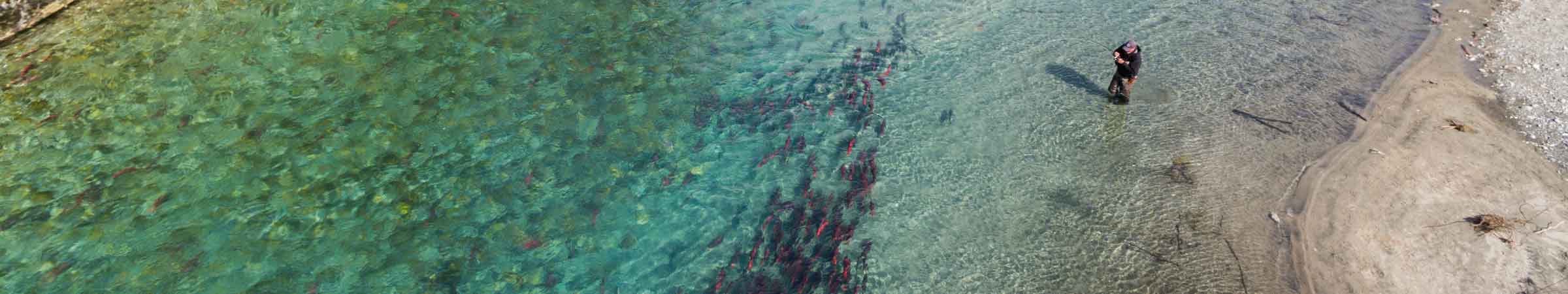 corporate_partnerships_second_strip