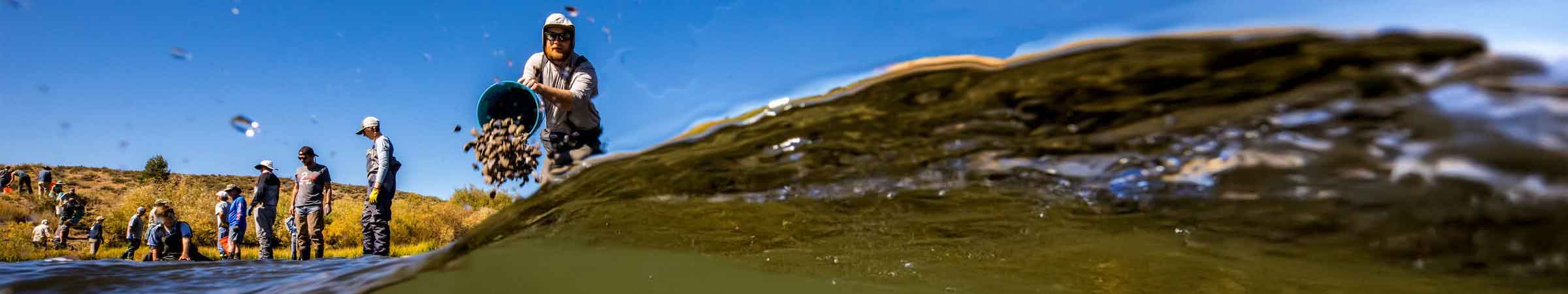 corporate_sponsorships_header_thin_no_text