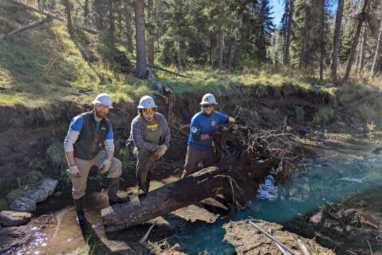 A Restoration Program Takes Root in the Rio Grande and Gila Headwaters