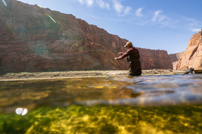 An unlikely case study for trout conservation: Arizona